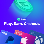 BIGCASH_US_CPA
